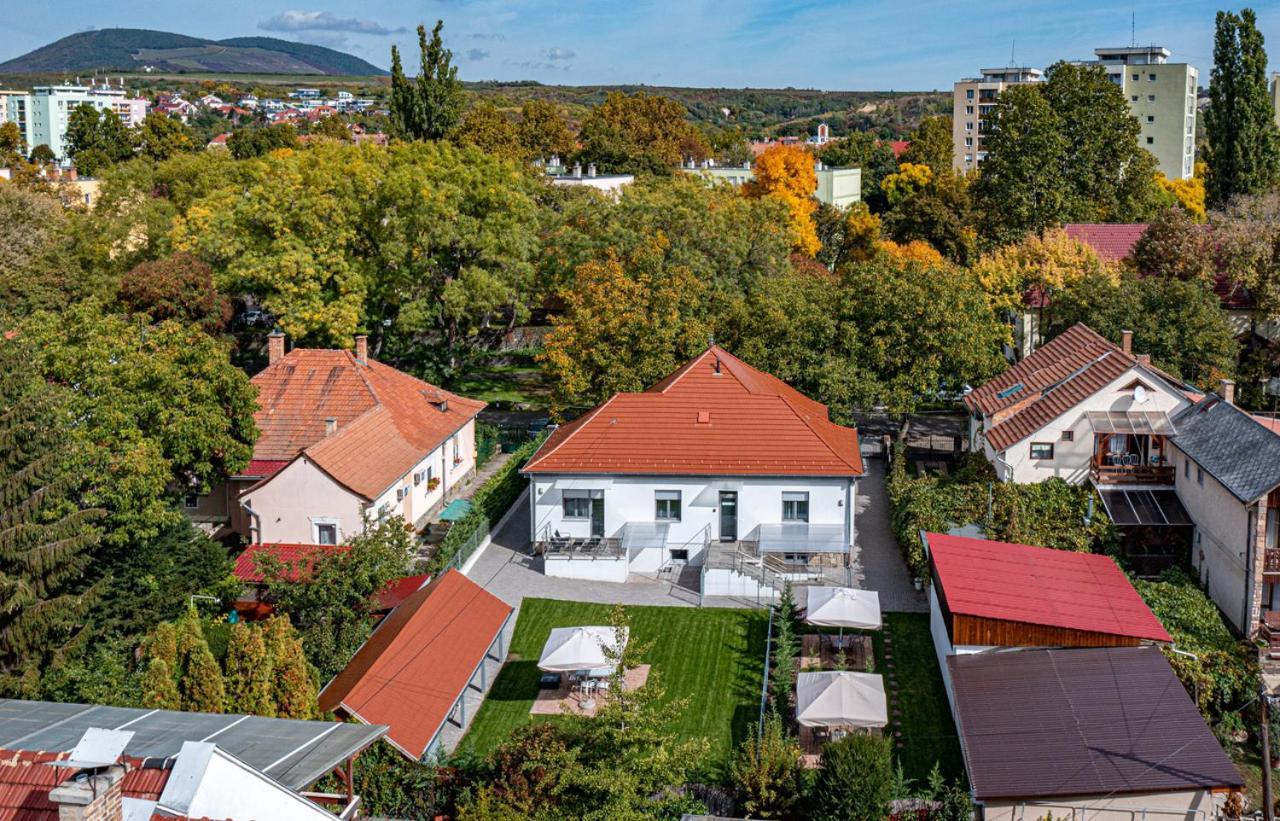 Garden * Eger